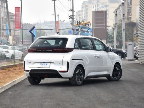 New Energy Electric BYD D1