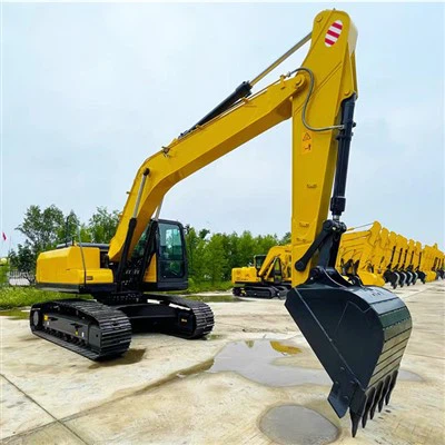 Large Excavator Crawler Type