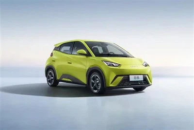 Smart Car BYD - Seagull